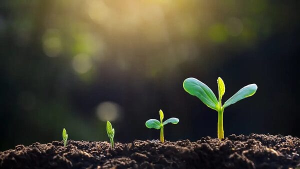 How do I open a brokerage account in Georgia? And what kind of income can I expect from bonds?